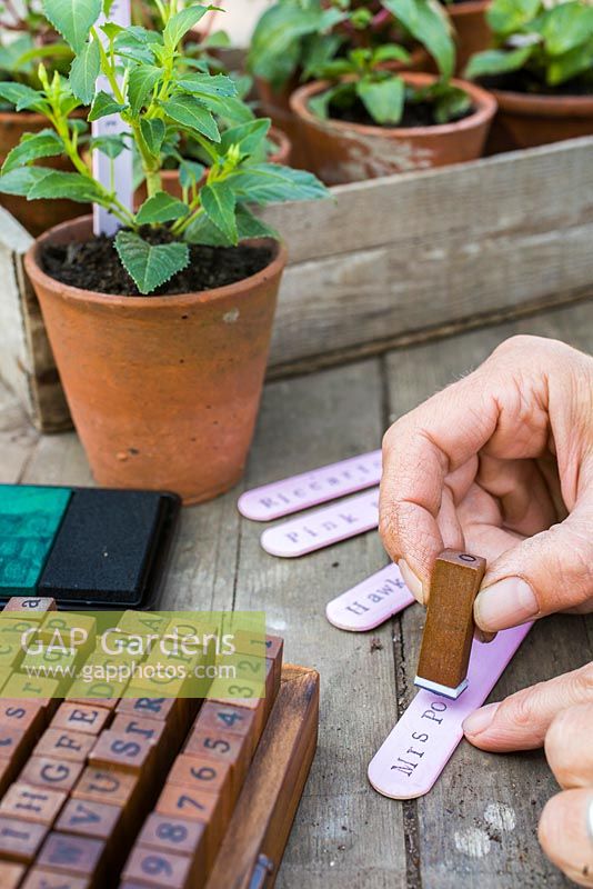 Using a vintage wooden stamp kit to create trendy plant labels