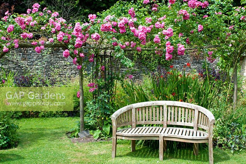 Wooden garden bench with trellis and rambling Rosa at Cerney House Gardens, Cirencester