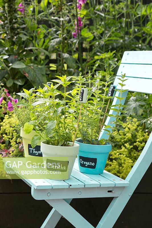 Painted black and white labels on colourful containers of thymus, oregano and mentha. 
