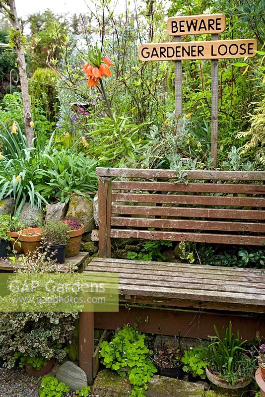 Wooden bench with Fritillaria imperialis