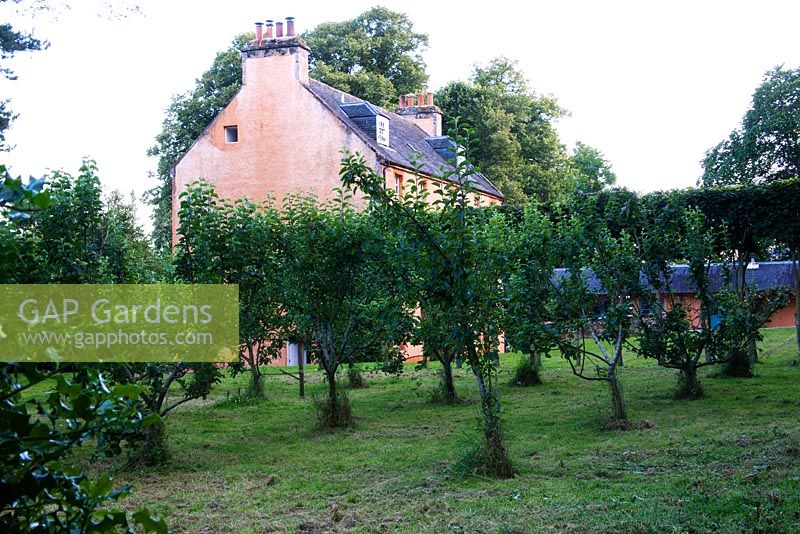 The orchard, Allangrange