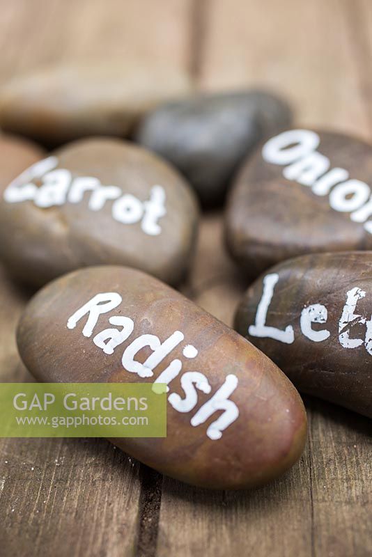 Carrot, Onion, Radish and Lettuce pebble labels