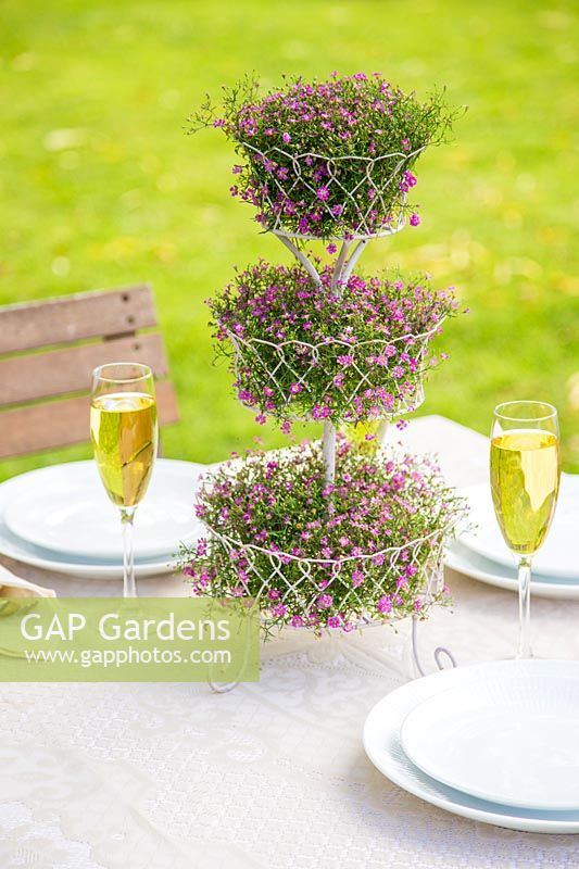 Tiered stand of Gypsophila used as a table setting.