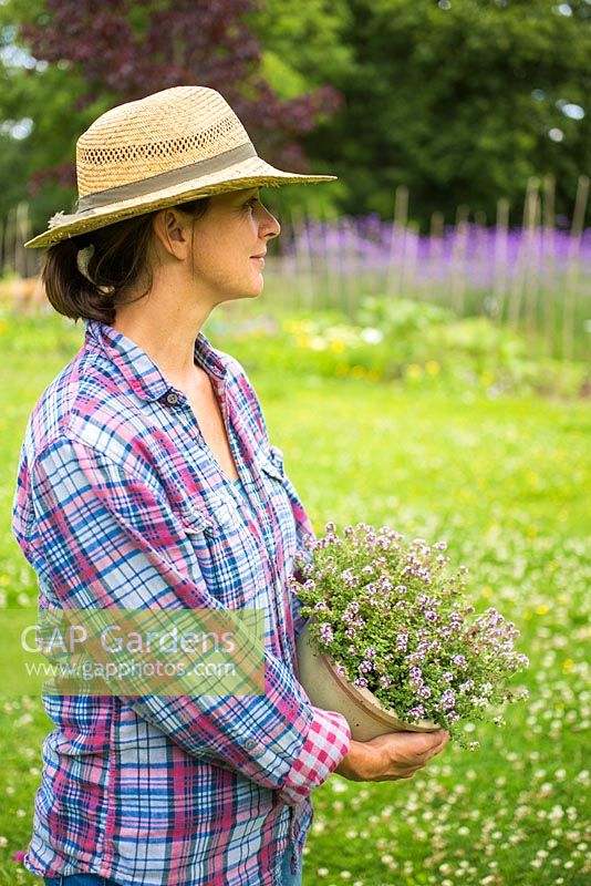 Woman carrying pot of Thyme across lawn