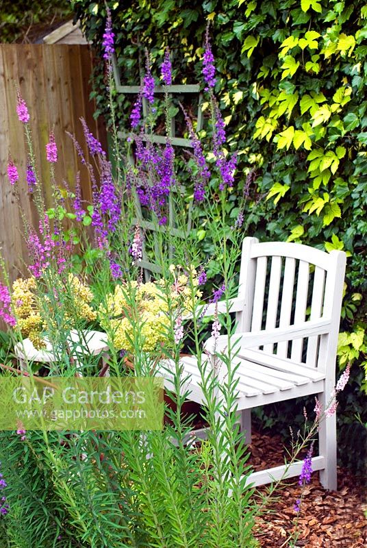 Painted wooden seat and table in garden setting