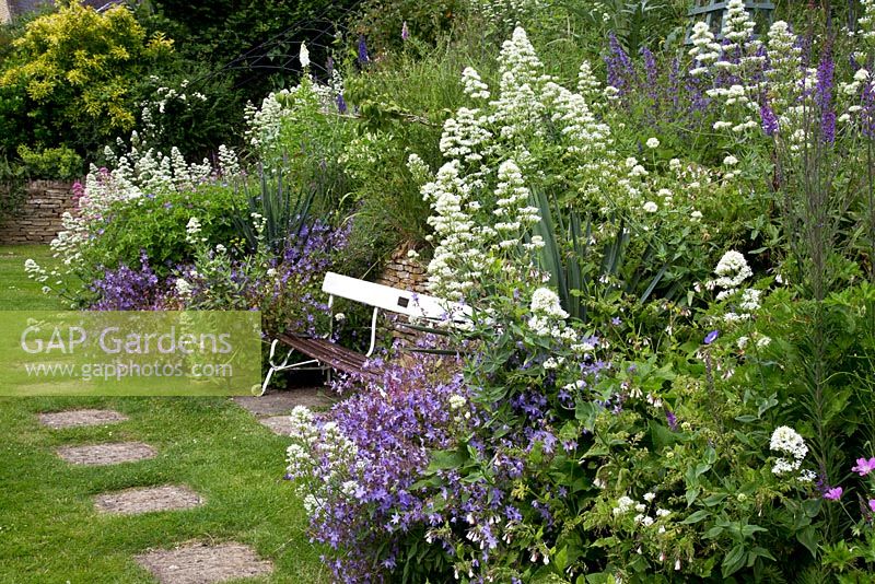 Valeriana officinalis and Campanula poscharskyana fill the borders with a bench that originated in the Mound Stand at Lord's Cricket ground.  Mill Dene Garden, Gloucestershire. 