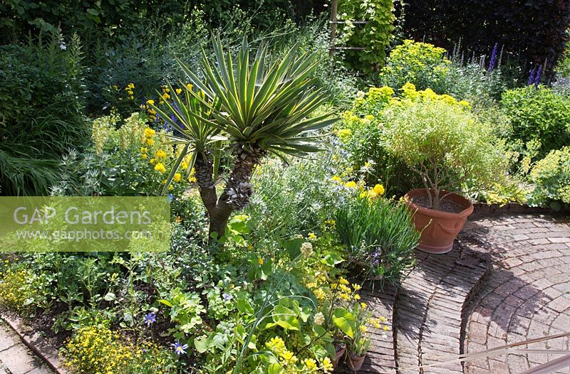 With the Yucca as a focal point, this is very much a border of leaf textures with a broad colour theme of green/yellow/blue.  Plants like Lysimachia nummularia, Allium moly, salvia, foxglove, euphorbia etc.