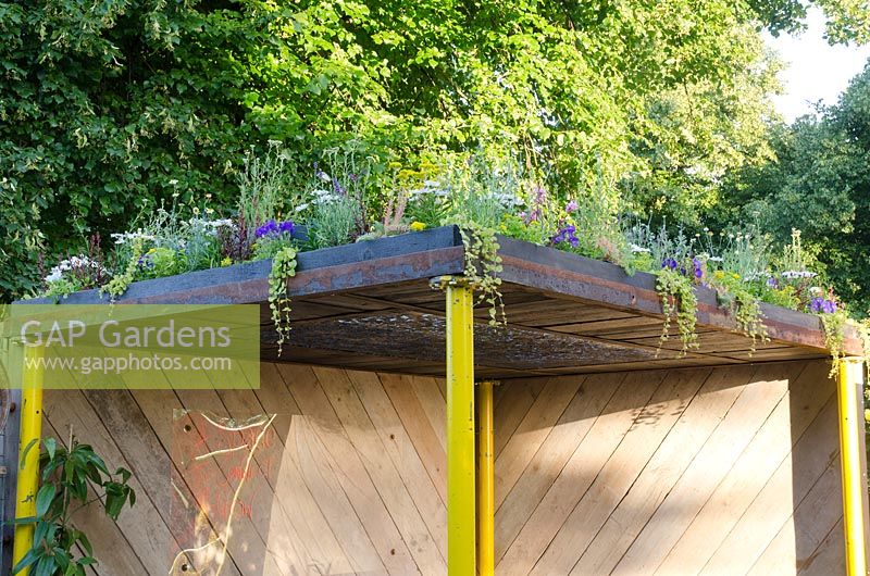 Green roof - A Space to Connect and Grow - RHS Hampton Court Palace Flower Show 2014 - Design: Jeni Cairns with Sophie Antonelli - Sponsor: Metal, Earls Scaffolding, British Sugar