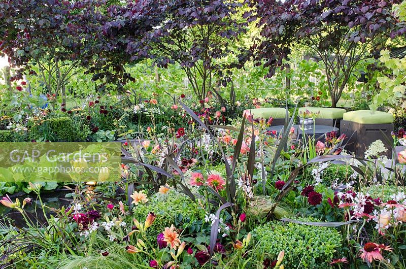 Bacchus Garden - RHS Hampton Court Palace Flower Show 2014 - Design: Wardrop Designs