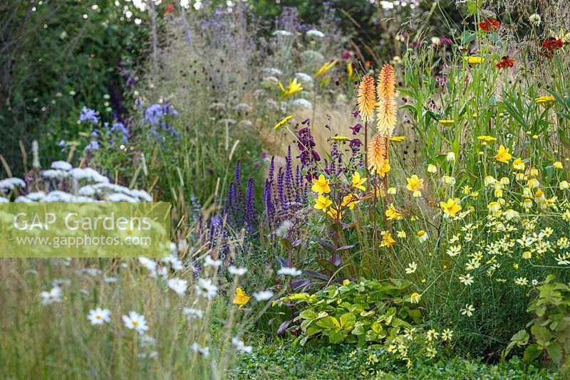 Naturalistic grasses and perennials including Hemerocallis and Kniphofia - The Jordans Wildlife Garden, RHS Hampton Court Flower Show 2014