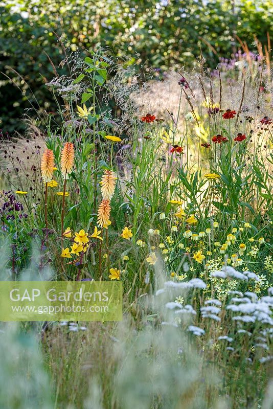 Naturalistic grasses and perennials including Hemerocallis, Helenium and Kniphofia - The Jordans Wildlife Garden, RHS Hampton Court Flower Show 2014
