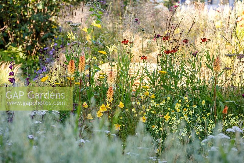 Naturalistic grasses and perennials including Hemerocallis, Salvia nemerosa, Helenium and Kniphofia - The Jordans Wildlife Garden, RHS Hampton Court Flower Show 2014