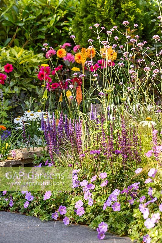 Colourful planting including Verbena bonariensis, Geranium 'Rozanne' and Salvia nemorosa 'Caradonna' - The NSPCC Legacy Garden, RHS Hampton Court Flower Show 2014