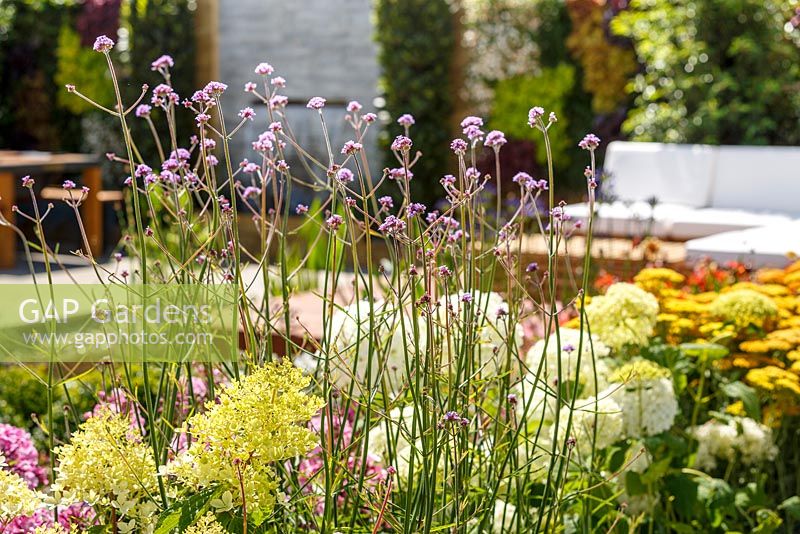 Verbena bonariensis with other colourful planting and seating beyond - A Hampton Garden, RHS Hampton Court Flower Show 2014