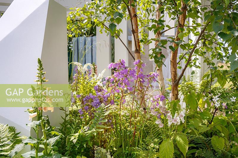 Naturalistic woodland planting including Digitalis 'Suttons Apricot', Betula Pendula, Anemone rivularis and Campanula with geometric sculptures - Garden of Solitude, RHS Hampton Court Flower Show 2014