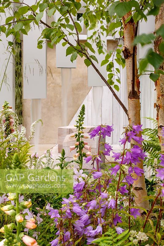 Pergola waterfall with naturalistic woodland style planting including Campanula, Digitalis 'Suttons Apricot' and Betula Pendula - Garden of Solitude, RHS Hampton Court Flower Show 2014