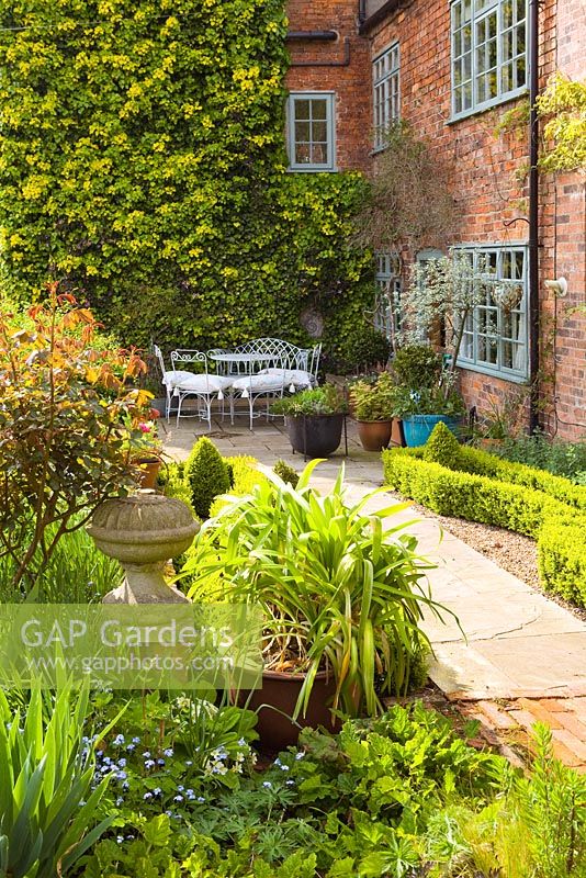 A sunny corner outside the kitchen door. Hope House Garden, Caistor, Lincolnshire, UK. April 2014.