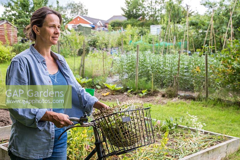 Woman leaving allotment with her bicycle and a harvest of beans