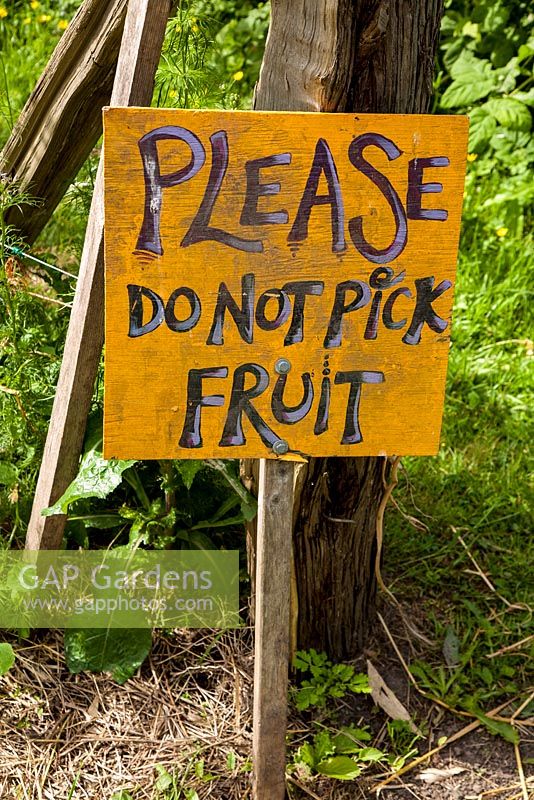 Please do not pick fruit sign 