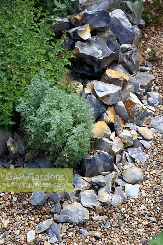 Flint and gravel by Oregano and Artemisia pontica -  The Flintknapper's Garden-A Story of Thetford. Designer: Luke Heydon. Sponsors: Businesses in and around Thetford - RHS Hampton Court Palace Flower Show 2014 