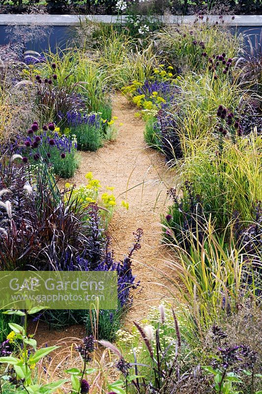 The One Show Garden. Extensive planting of ornamental grasses and flowering perennials along crushed stone path.  