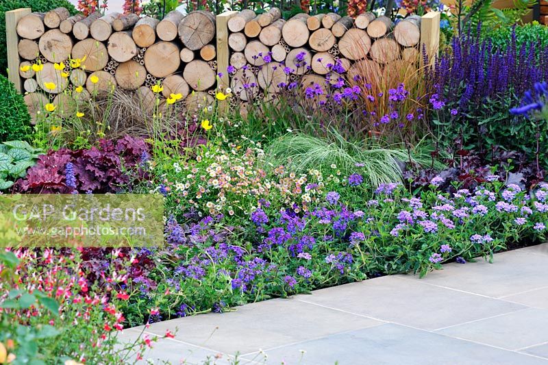 A Hampton Garden. Clipped box spheres, Verbena, Ajuga, Salvia in mixed bed with low dividing wall using stacked cut logs 
