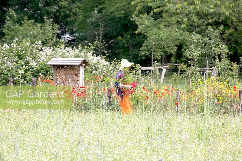 Woman with sunhat carries red plastic basket in the field in front of kitchen garden with bee hotel.