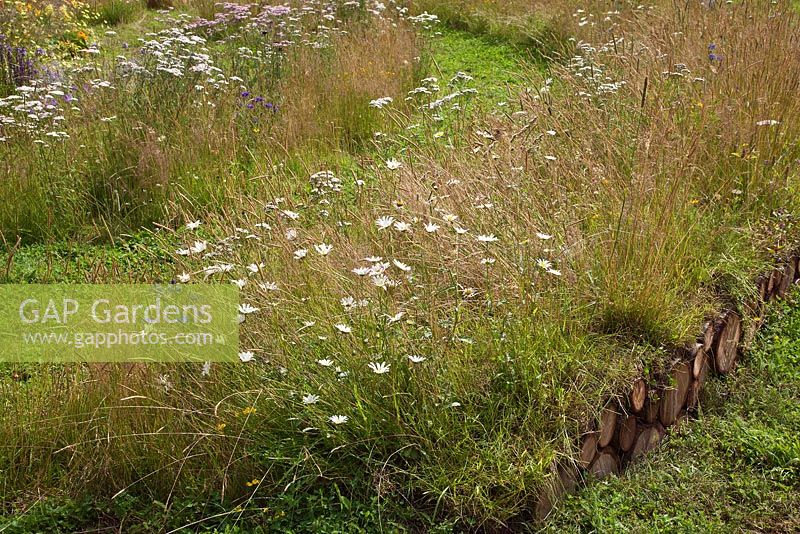 Jordans Wildlife Garden - grasses and flowering plants on beds of rotting logs 