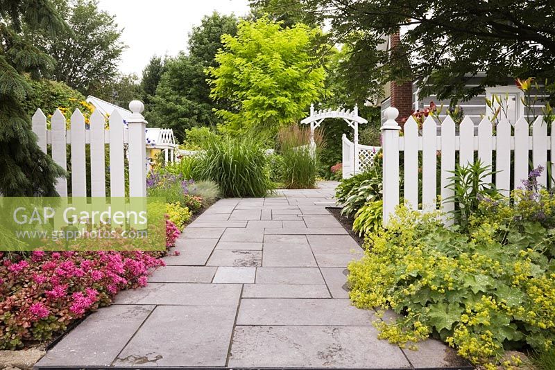 Flagstone garden path leading to arbour through a white picket fence in a front garden in summer. Plantings include purple caucasian stonecrops (Sedum spurium), yellow Lady's mantle (Alchemilla mollis), Kleine 'Silberspinne' (Miscanthus sinensis) in the middle and a black locust (Robinia pseudoacacia 'Frisia') tree in the background - Il Etait Une Fois garden, Monteregie, Quebec, Canada. 