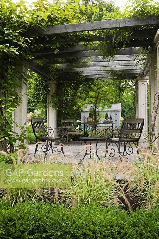 Garden chairs and table underneath a wood and concrete pergola covered with a Kiwi ornemental ‘Arctic Beauty' climbing vine (Actinidia kolomikta ‘Arctic Beauty'. (Pennisetum setaceum 'Sky Rocket') ornamental grass in the foreground - Il Etait Une Fois garden, Monteregie, Quebec, Canada. 