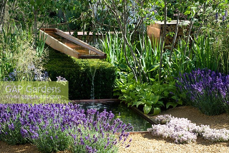 Vestra Wealth's Vista Garden Aggregate flooring with lavender planted in naturalistic style under high canopy shrubs. A small square black pool receives water from wooden channel above.  Designer: Paul Martin Sponsor: Vestra Wealth Gold award  