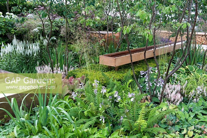 Vestra Wealth's Vista Garden. A copper bench runs along one axis beneath trees is set in planting of perennials with cool colour palette. In the other axis is a cedar-wood water channel supported by a box hedge. Designer: Paul Martin Sponsor: Vestra Wealth Gold award