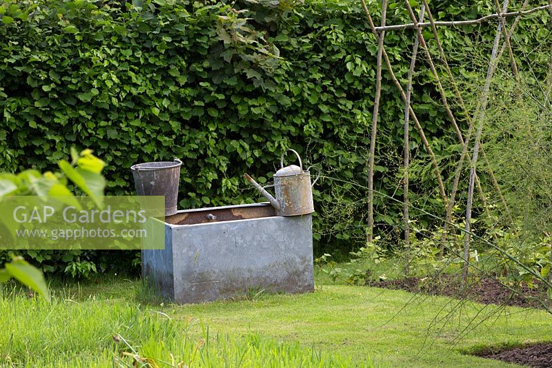 Vegetable garden, water trough, rustic, bucket, watering can, asparagus
