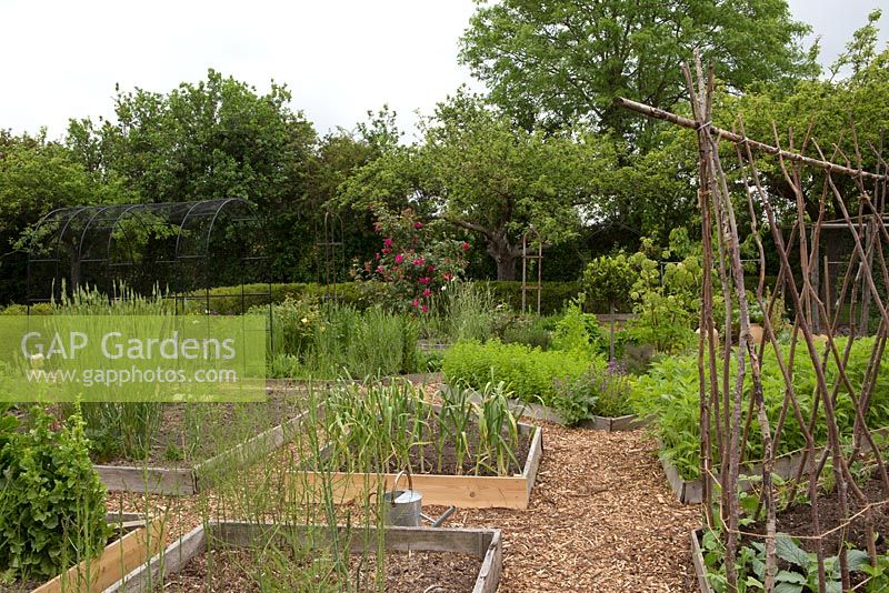 Vegetable garden in May, timber raised beds, surounding hedge, watering can, supports, herbs