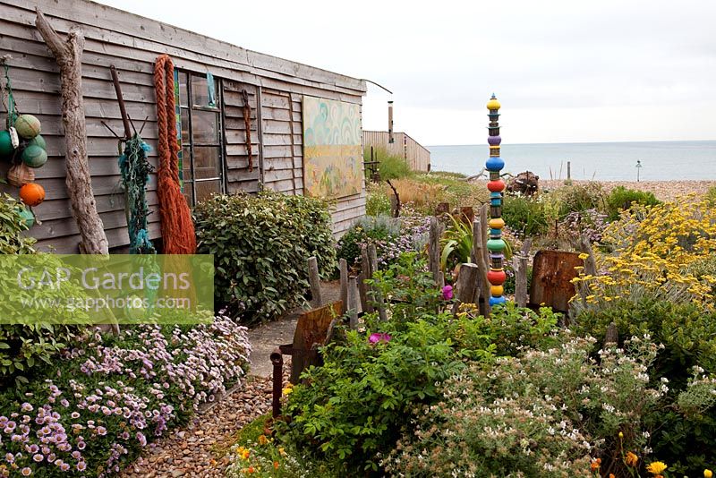 Coastal garden with rustic shed, nets, buoys, painted sculpture, drift wood, erigeron and santolina