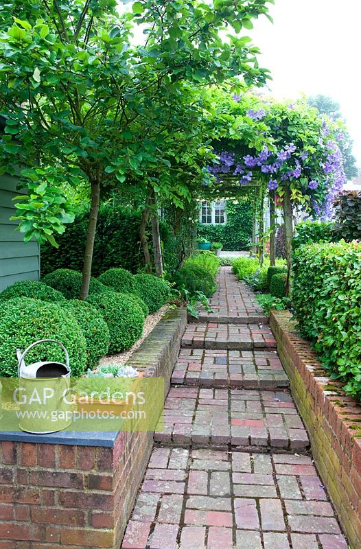 Brick path with pergola, Clematis 'Perle d'Azur', clipped buxus spheres, watering can, pot of succulents
