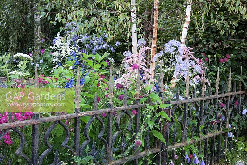The Forgotten Folly - view of cottage garden through metal fence -  Designer - Lynn Riches and Mark Lippiatt - Horticolous Landscape and Garden Design
