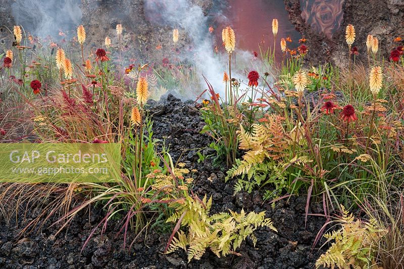 Wrath - Eruption of Unhealed Anger - view of garden with lava bed and planting of Kniphophia Tetbury Torch red hot pokers Echinacea tomato soup Imperata red baron Athyrium Niponicum Pictum Achillea 
