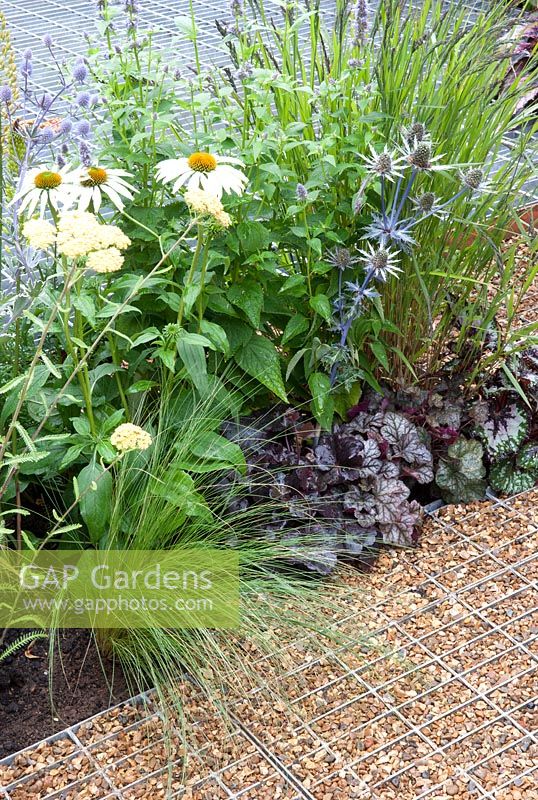 Space to Connect and Grow - view of garden made from industrial reclaimed and reused materials planting, Echinacea pupurea 'White Spider', Eryngium, Heuchera 