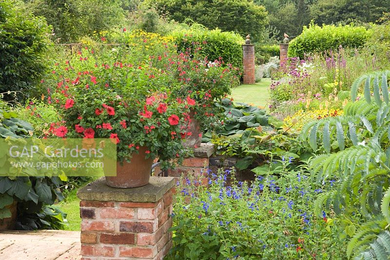 Pot with mixed red annuals at the top of the steps. Hall Farm Garden at Harpswell near Gainsborough in Lincolnshire. July 2014.
