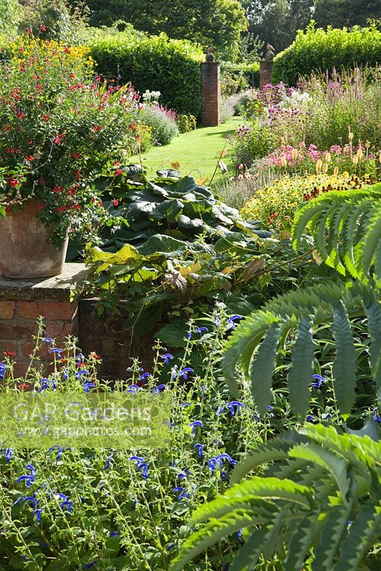 Pot and mixed planting. Hall Farm Garden at Harpswell near Gainsborough in Lincolnshire. August 2014.