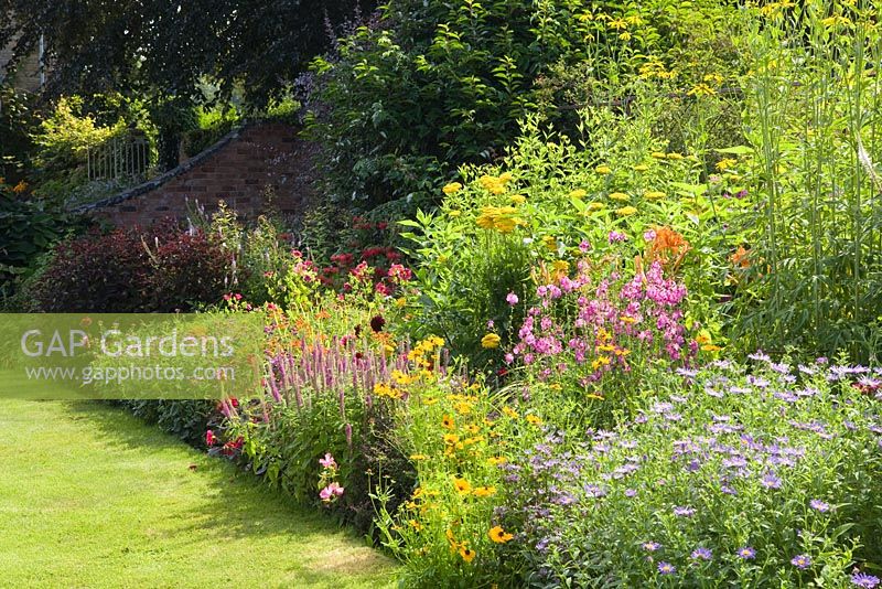 One of the double herbaceous borders. Hall Farm Garden at Harpswell near Gainsborough in Lincolnshire. July 2014.