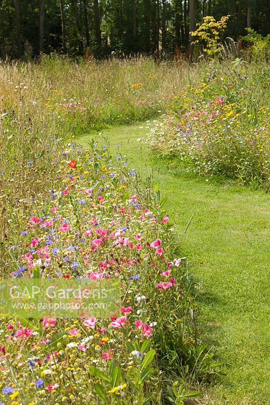 The flowery meadow. Hall Farm Garden at Harpswell near Gainsborough in Lincolnshire. July 2014.