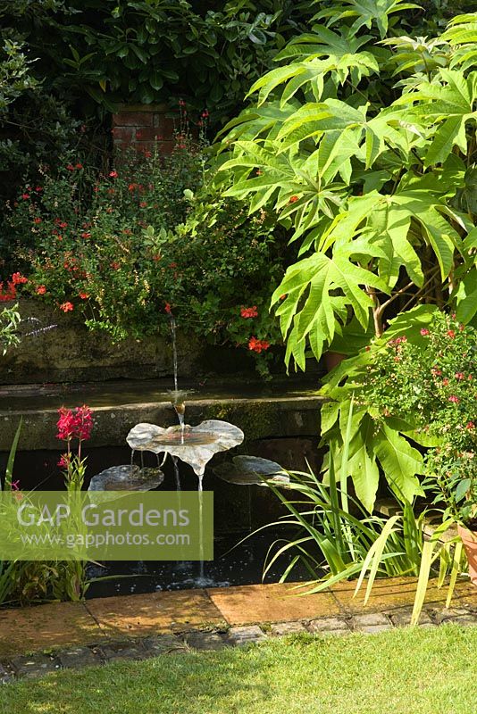 Water feature with pots and large plant of Tetrapanax. Hall Farm Garden at Harpswell near Gainsborough in Lincolnshire. August 2014.
