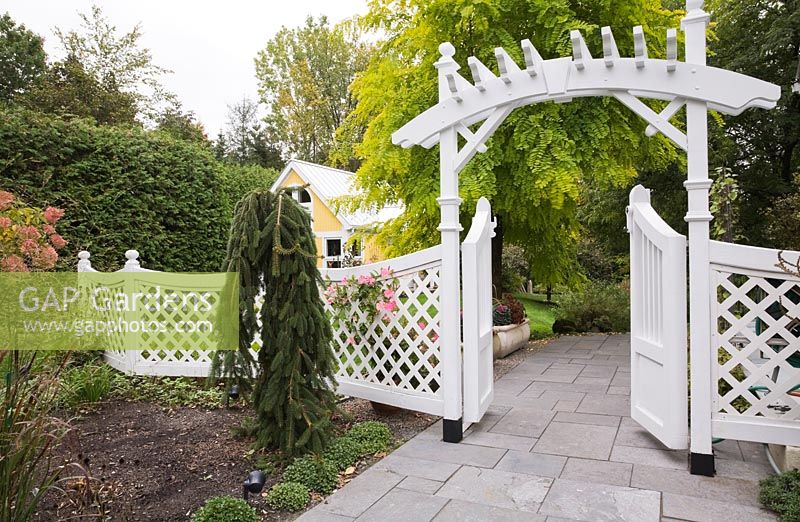 Grey flagstone path leading to a arbour through a white trellis fence in front garden in autumn. Plantings include Black locust, Robinia pseudoacacia 'Frisia' tree in the background. Il Etait Une Fois garden, Monteregie, Quebec, Canada. 