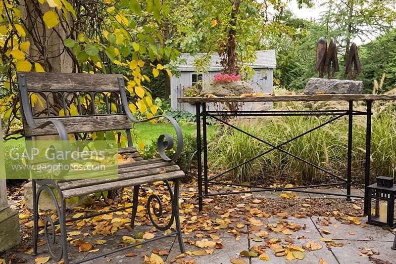 Wooden garden chair and fallen leaves on flagstones underneath a wood and concrete pergola covered with a Kiwi ornemental 'Arctic Beauty' climbing vine -Actinidia kolomikta 'Arctic Beauty' in backyard garden in autumn. Il Etait Une Fois garden, Monteregie, Quebec, Canada. 