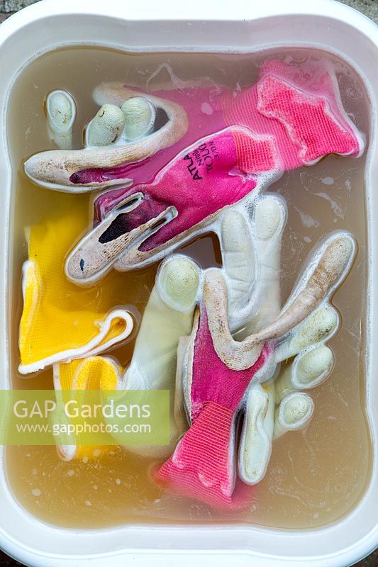 Washing Gardening Gloves in soapy water