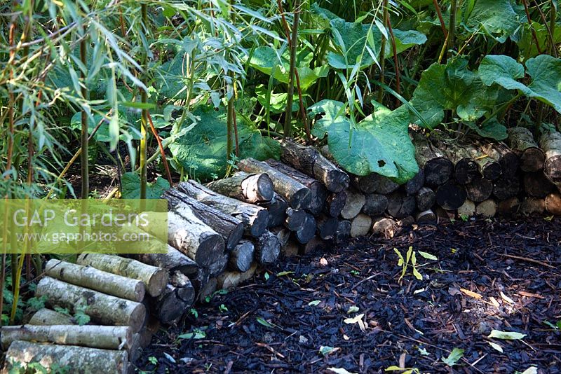 A wood pile makes a low wall and a haven for wildlife
