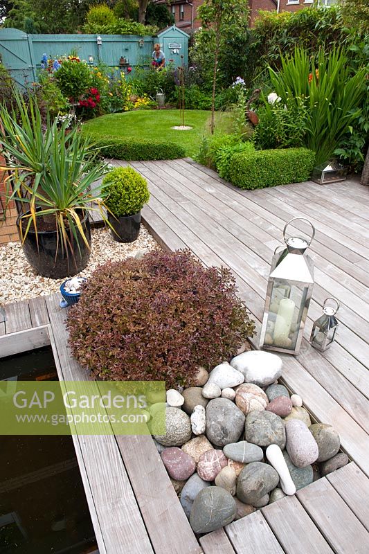 Contemporary hard wood Ipe deck with contrasting texture of the rounded pebbles. Planting includes Pittosporum tenuifolium 'Tom Thumb' and low Buxus sempervirens hedging leading to circular lawn with a back ground of cottage garden planting