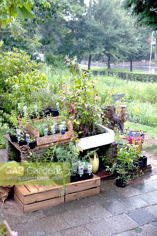 Display of plants in the rain at KWEEKLAND citygarden Arnhem / Holland.